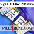 Vigra Xl Max Platinum 12